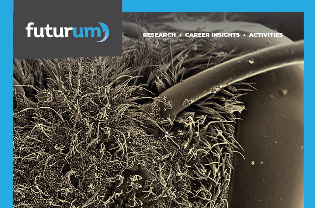 Research insights on study techniques in education