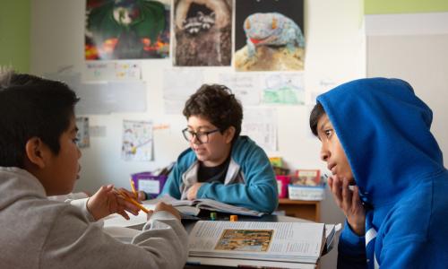 Practical strategies educators use for peer learning